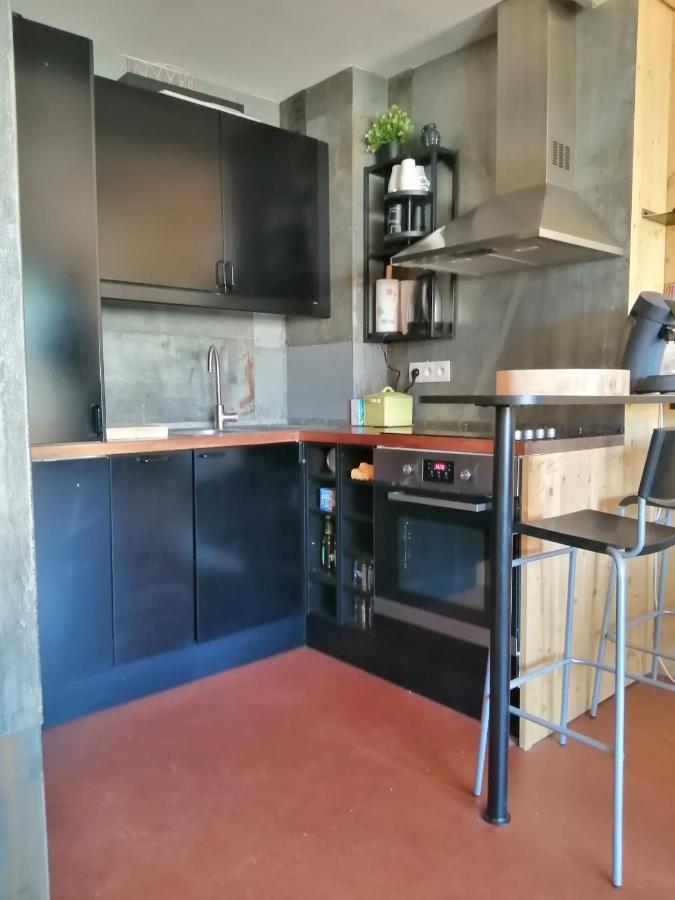 Appartement De 28 M2, Centre Station Les 2 Alpes 莱德萨阿尔卑斯 外观 照片