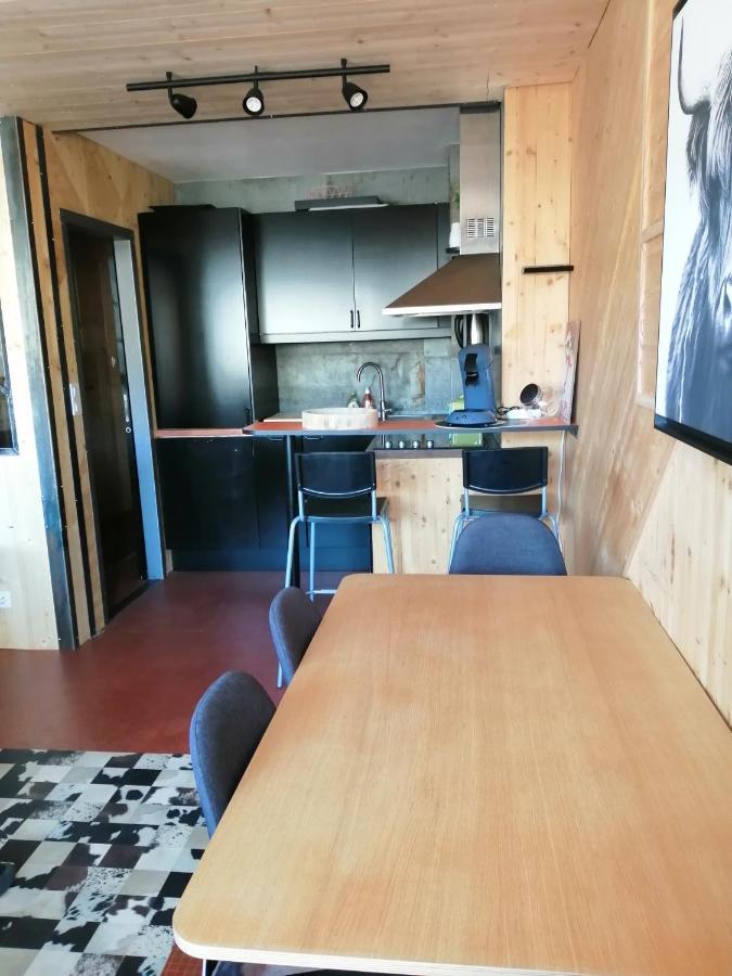 Appartement De 28 M2, Centre Station Les 2 Alpes 莱德萨阿尔卑斯 外观 照片
