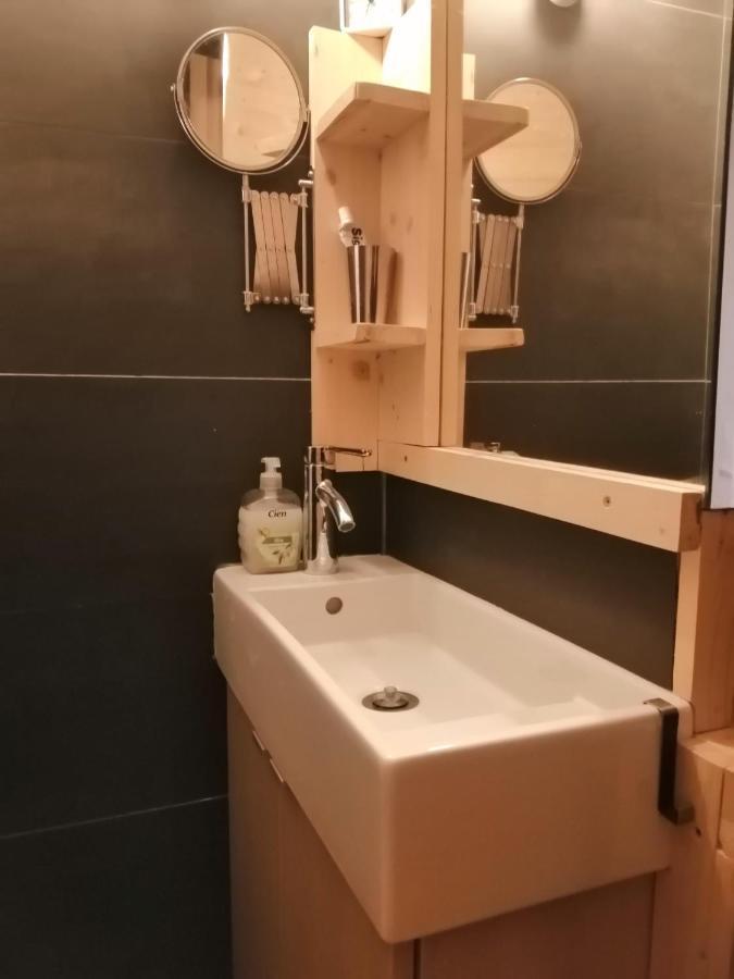 Appartement De 28 M2, Centre Station Les 2 Alpes 莱德萨阿尔卑斯 外观 照片